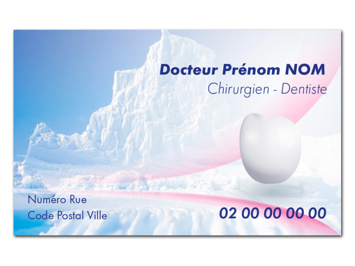 Carte de visite  ARCTIQUE